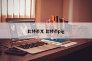 比特币兀 比特币pig