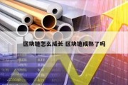 区块链怎么成长 区块链成熟了吗