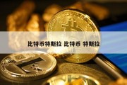 比特币特斯拉 比特币 特斯拉