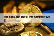 比特币暴风雨后的走势 比特币暴雷是什么意思