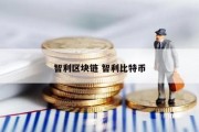 智利区块链 智利比特币